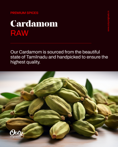 Cardamom