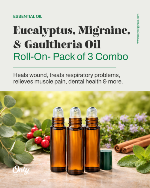 Eucalyptus, Gaultheria and Migraine Oil Roll-on Set of 3 Combo