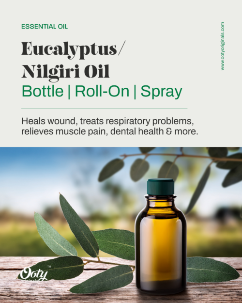 Eucalyptus Oil