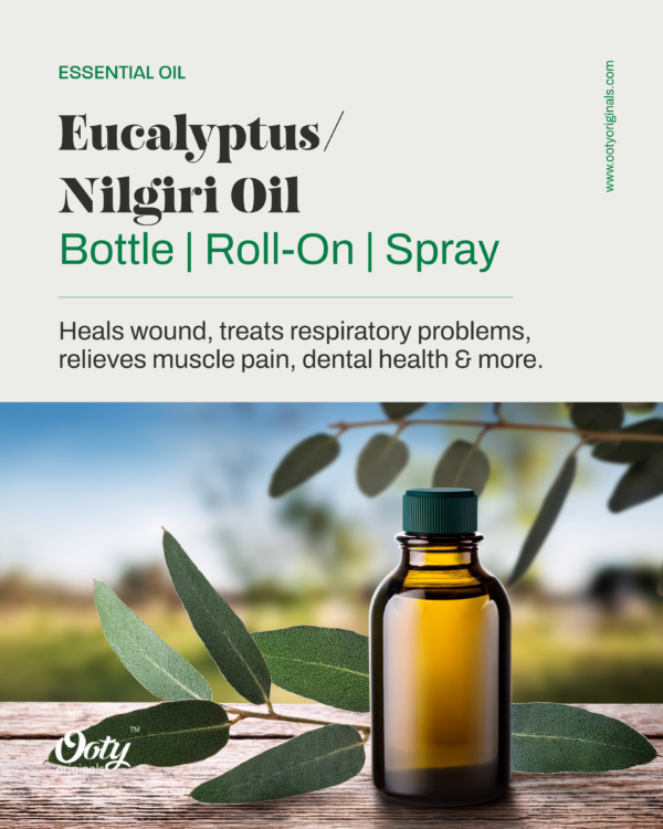 Eucalyptus Oil