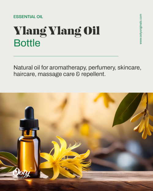 Ylang Ylang Oil