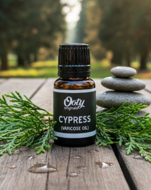 Cypress Oil / Varicose Oil