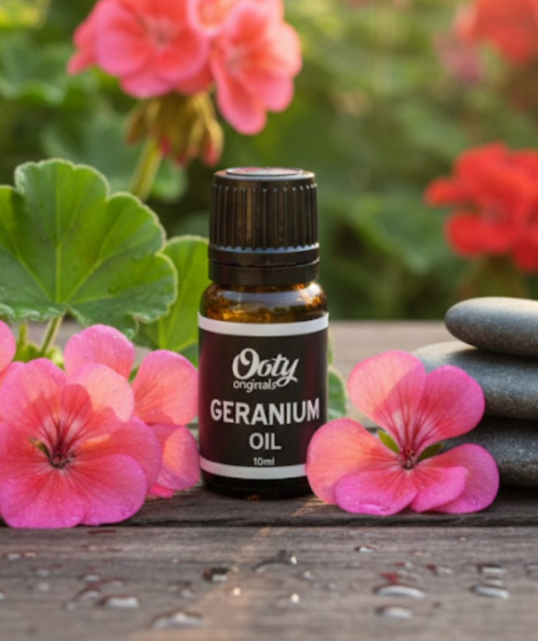 Geranium Oil