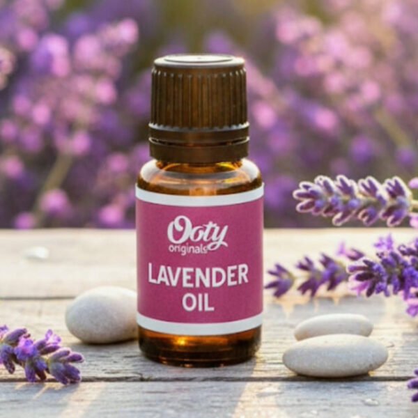 Lavender Oil