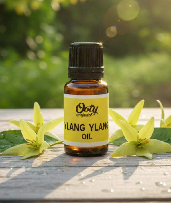 Ylang Ylang Oil